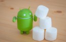 Android-Marshmallow-598x337