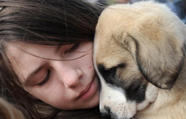 A Romanian girl holds a puppy during a p