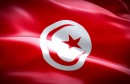المنتخب التونسي يتصدر البطولة العربية للسباحة